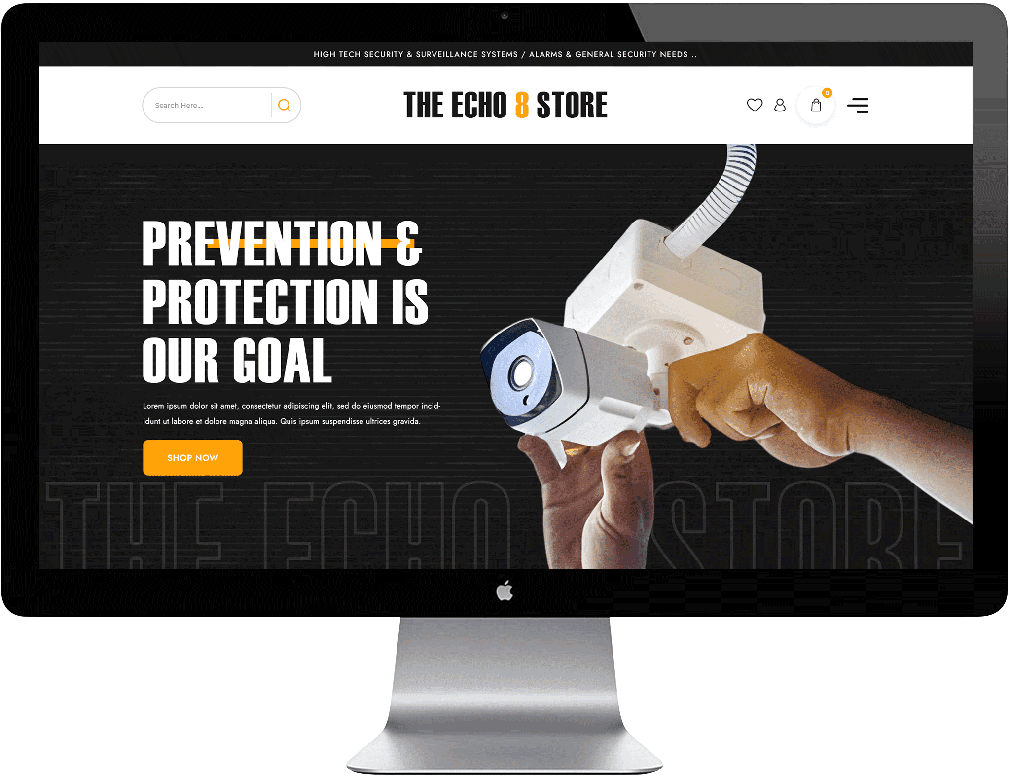 Portfolio Image